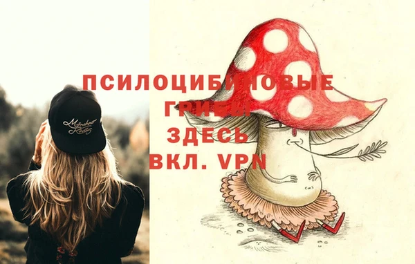 мескалин Алексин