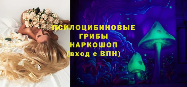 шишки Абдулино
